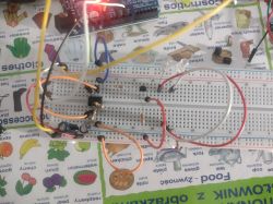 Zbliżenie na płytkę stykową z podłączonymi przewodami, elementami elektronicznymi i migającą diodą LED, położoną na kolorowej podkładce edukacyjnej.