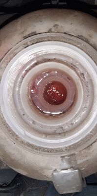 - Ślady oleju na silniku - Seat Ibiza 1.9tdi 2006r