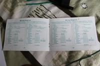 Honda civic 6gen 95r - moduł domykania szyb słaba reakcja