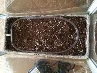 System sztucznego środowiska do hodowli roślin w domu (inkubator - Greenhouse)