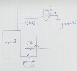 Ferolli Biopelet Pro – brak cyrkulacji po włączeniu pompy, schemat podłączenia zaworu