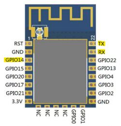Electronic Module Connectors with GPIO and Communication Ports Diagram of an electronic module with highlighted pins