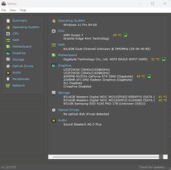 Zrzut ekranu programu Speccy z informacjami o podzespołach komputera