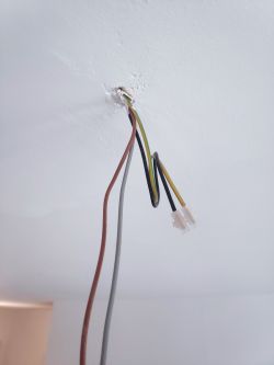 Podłączenie lampy sufitowej metalowej z dwoma nieoznaczonymi kablami do czterech kabli sufitowych