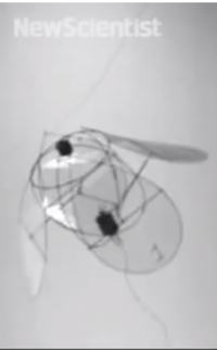 Robotyczna latająca meduza