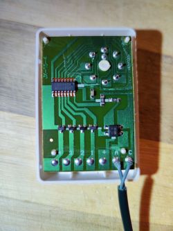 Electronic module with PCB and connected wires inside plastic housing