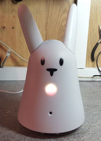 RabbitPi - cyfrowy asystent Internetu Rzeczy z Alexa