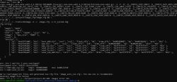 Screenshot of a terminal showing compilation output, binary config, and a bin file overlap error.