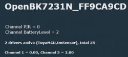 Screenshot displaying information about OpenBK7231N and channel status.