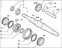 Fiat Panda 2005 1.1 - Wymiary i symbole łożysk skrzyni biegów