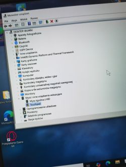 Zrzut ekranu menedżera urządzeń systemu Windows z zaznaczonym touchpadem jako ukrytym urządzeniem.