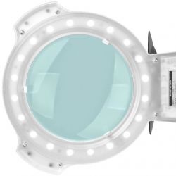 What workshop lamp with a magnifying glass? A request for tips and what you reco