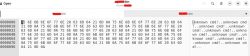 Screenshot of a hex editor with a binary file displayed as hex and text.