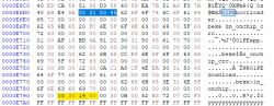 Screenshot of a hex editor showing memory data with hex values visible.