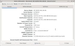 Zrzut ekranu z programu GSmartControl z informacjami o dysku NVMe IRP-SSDPR-P44S-2K0-80.
