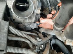 Close-up of an engine bay throttle body with a hand holding a wiring connector