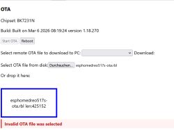 Screenshot of an OTA page with file selection and the error “Invalid OTA file was selected”.