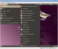 How to run a program from a terminal with superuser rights (ubuntu)