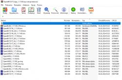 OpenBK7231T Binary Files List in Archiving Program List of binary files in OpenBK7231T_App_1.17.450.zip archive displayed in an archiving program.