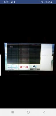 Panasonic TX-L55ET60B - obraz smuży i faluje co kilka sekund