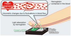 Diagram of BH1790GLC Heart Rate Sensor Operation Illustration of the BH1790GLC heart rate sensor operation with a finger illuminated by green LED light.