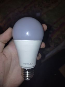 YINSAN Light Bulb Held in Hand Person holding a YINSAN light bulb in hand.