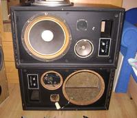 Kolumny Sharp CP-501H Co z nimi zrobic, jak odnowic?