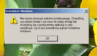 Office 2010 na XP SP3 - błąd XLLEX.DLL przy uruchamianiu Excel 2010