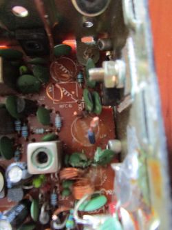 Cobra 19 plus KLASYK - Potrzebuję danych cewek stopnia końcowego/wejściowego