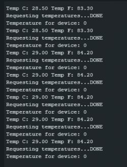 Console screenshot displaying temperature measurement results.