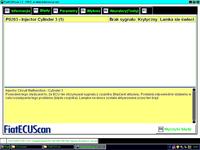 Fiat Punto II 1.2 8V - Szarpanie, nierówna praca, błąd P0203