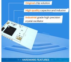 Electronic module with highlighted chip features.