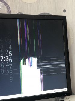 Zbity monitor ASUS VX248H Zbity monitor ASUS VX248H