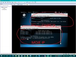 Kali Linux x64-amd w VMware Workstation - problem z pingowaniem IP