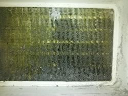 Beko DPY 8506 GXB1 Dryer - Prolonged Drying Time, Wet Laundry, Clogged Evaporator Issues