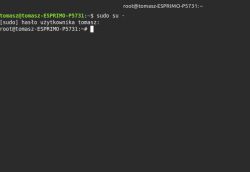 Terminal Linux z aktywną sesją root po komendzie sudo su