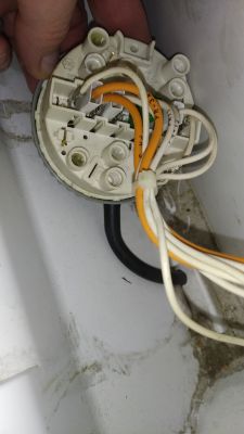 Zbliżenie na hydrostat w pralce z widocznymi przewodami elektrycznymi.