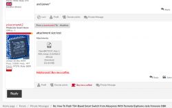 Screenshot of forum with attachment size test.