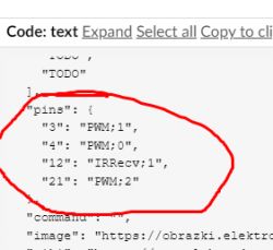 JSON code fragment defined in the pins section highlighted with a red marker.