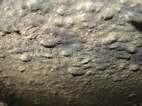 Renault Master 2.2 dci - Odpal i Gaśnie wszystko sprawdzone ...już nie daję rady