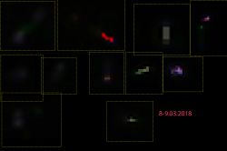 Prosty, domowy detektor mionów promieniowania kosmicznego