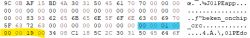 Binary file fragment with hexadecimal values, highlighted in different colors.