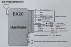 carprotect bx10 wymiana na carprotect bx20, czy takie same kostki?