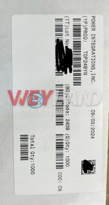 How to Integrate TAC4300-CT and KWS-303L Meters via ET69C02 LAN/RS-485 in Home Assistant