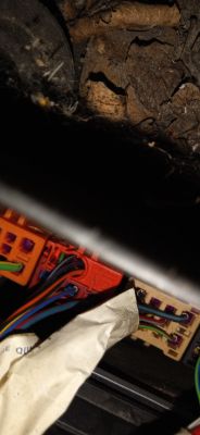 Audi A4/B5 1.6 Benzyna, ALZ: nie odpala, pompa paliwowa nie otrzymuje napięcia