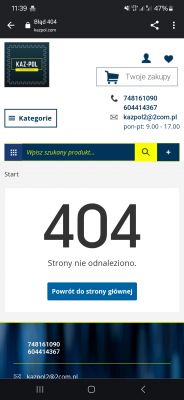 Zrzut ekranu strony internetowej z błędem 404.