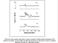 Canva 875 - Jak wyeliminować szumy i zakłócenia w CB radiu Stabo XM 3001e?