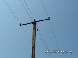 What is the arrangement of the LV overhead line, what is the designation of the 