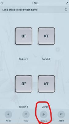 Tuya Smart 4CH - garage door control, channel division and momentary button setting