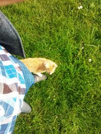 Telefon do 500 zł z WLAN, dużym ekranem i dobrym aparatem - lepszy niż Nokia N8?